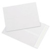 9 x 12" White Flat Tyvek Envelopes (Case of 100)