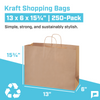 13 x 6 x 15 ¾" Kraft Paper Shopping Bags (250-Pack)