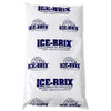 8 x 6 x 1 1/4" - 24 oz. Ice-Brix Cold Packs (Case of 12)
