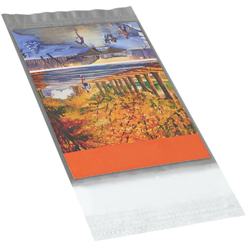 5 x 7" Clear View Poly Mailers (Case of 100)