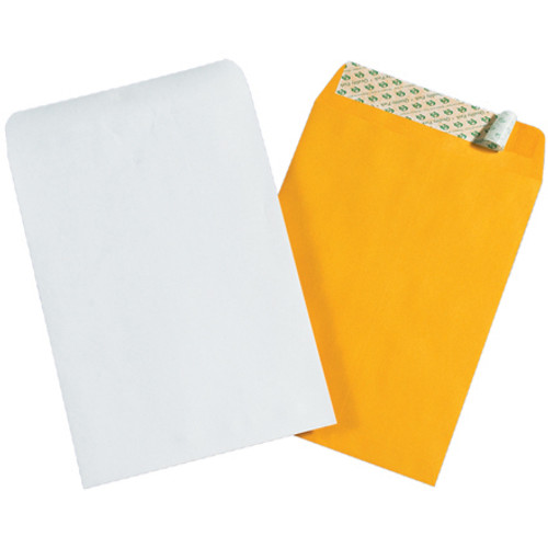 6 x 9" White Self-Seal Envelopes (Case of 500)