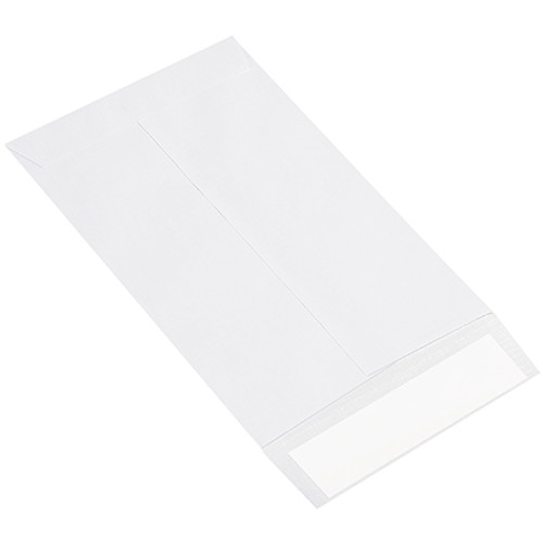 6 x 9" Flat Ship-Lite Envelopes (Case of 100)