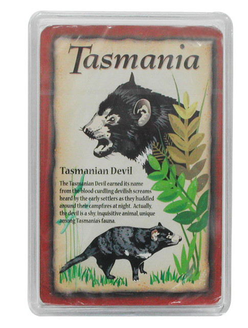 Playing Card in Plastic Box Tasmanian Devil Playing Card in Plastic Box Tasmanian Devil
