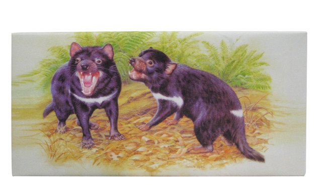 15x30cm Tasmania Devil 15x30cm Tasmania Devil