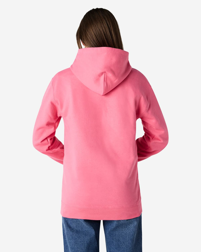 A pink adult hooded sweatshirt with a back view, featuring a hood and long sleeves. The fabric appears soft and casual.