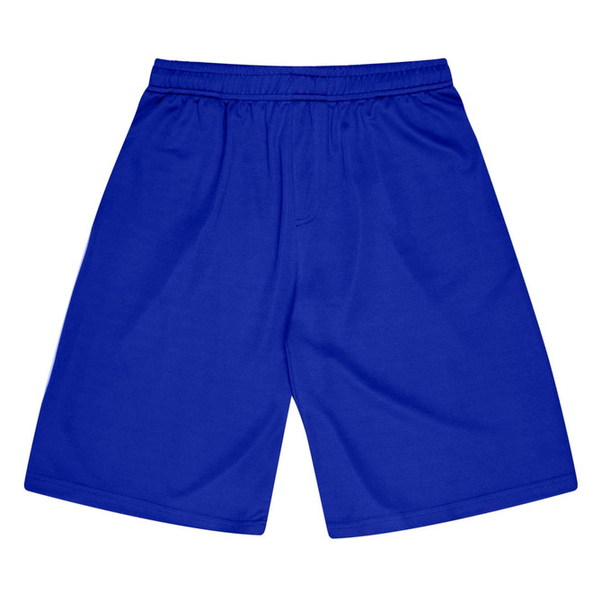 A pair of blue sports shorts with an elastic waistband and no visible logos.