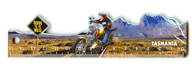 Devil Born To Be Wild Tasmania || MA-00-087