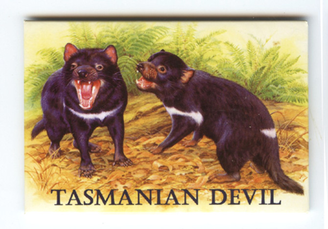 2 Devils || MA-00-121