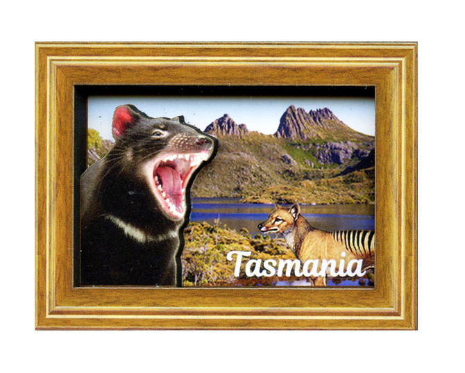 Framed Devil/Tiger/Cradle