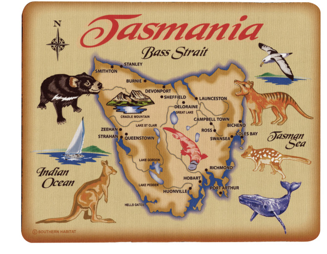 Sublimation Print Map Of Tasmania