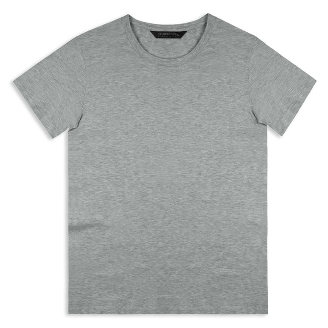 A grey men's T-shirt with a round neckline and short sleeves, featuring a logo on the label.