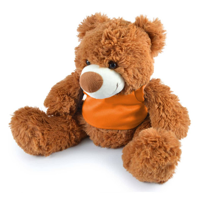 A plush teddy bear with fluffy orange fur and a white face, wearing an orange vest. The bear is sitting with outstretched arms.