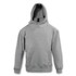 A grey hooded sweatshirt with a kangaroo pocket and a logo. It features a classic design suitable for kids.