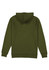 A green hoodie featuring a hood and raglan sleeves, displaying a plain design without any visible branding.