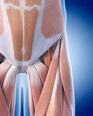 HIP FLEXOR STRAIN SYMPTOMS AND TREATMENT