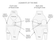 KNEE SPRAIN PAIN RELIEF AND STABILITY OPTIONS