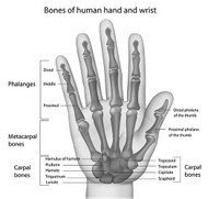SCAPHOID FRACTURE CAUSES AND SOLUTIONS