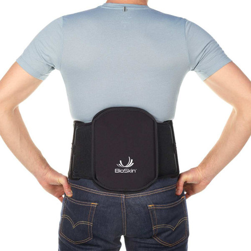 Vector Lumbar Support