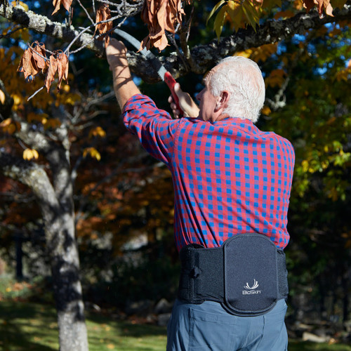 Vector Lumbar Support Bioskin Back Pain Relief Brace