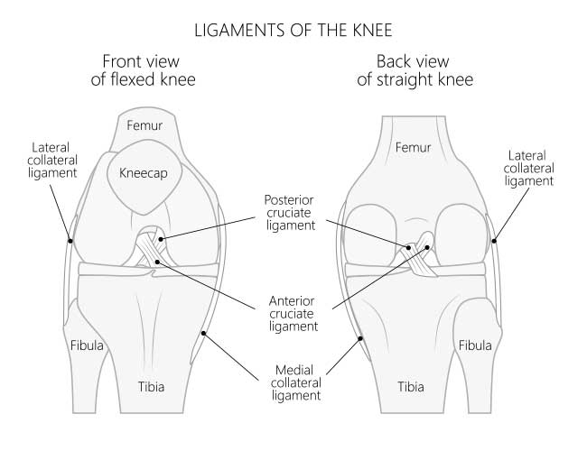 Minor Knee Spring Knee Sprain Pain Relief and Stability Options - BioSkin LLC