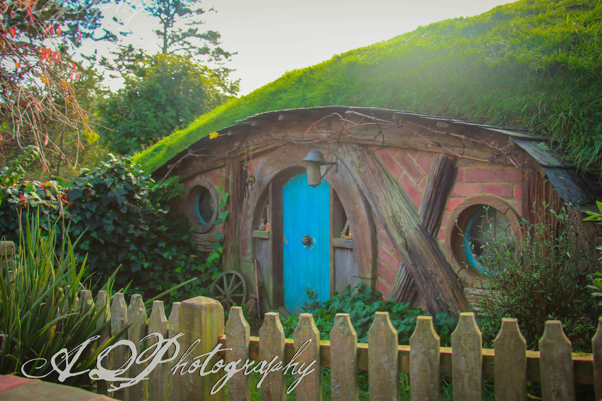 People of new zealand pictures image