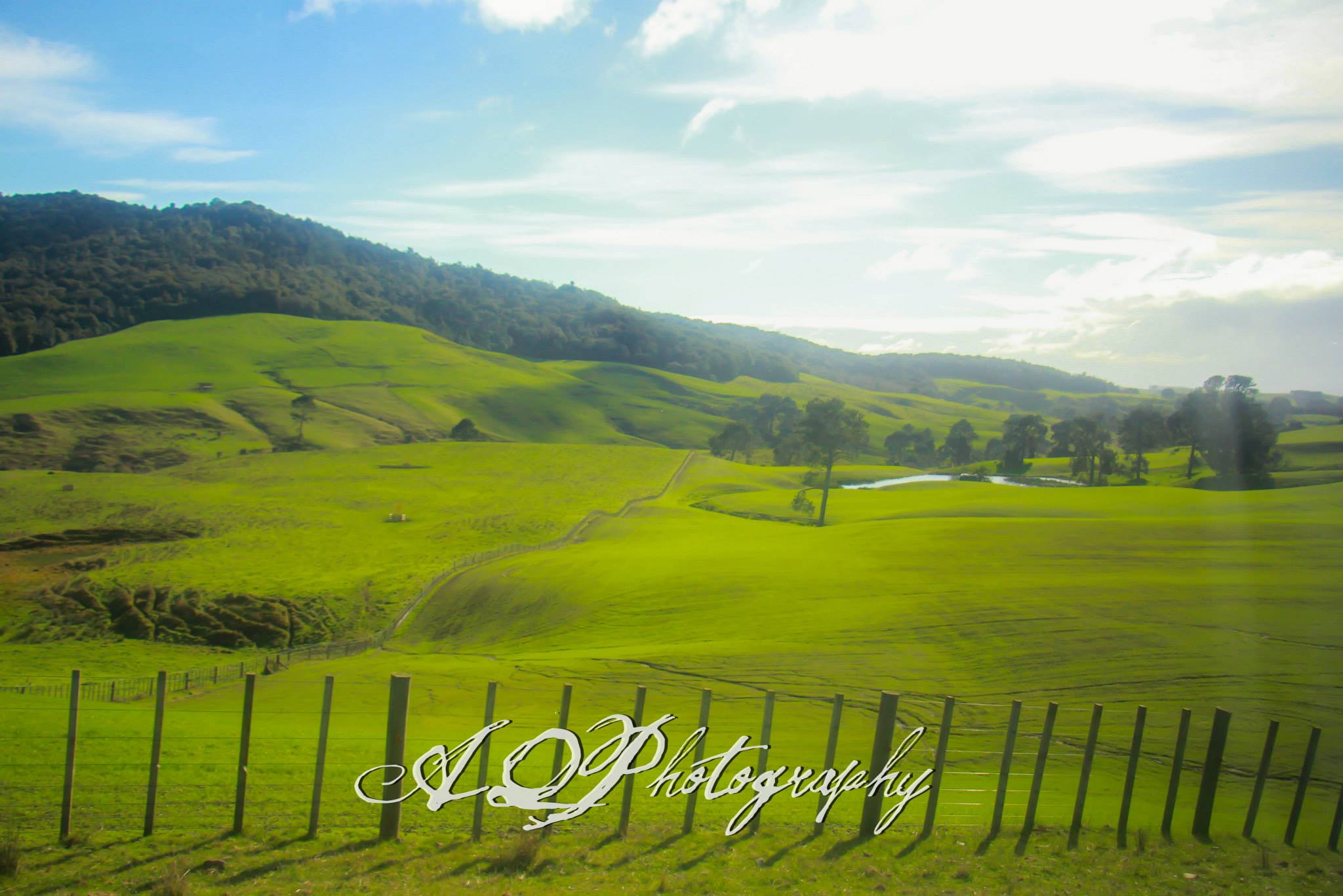 New zealand pictures gallery image