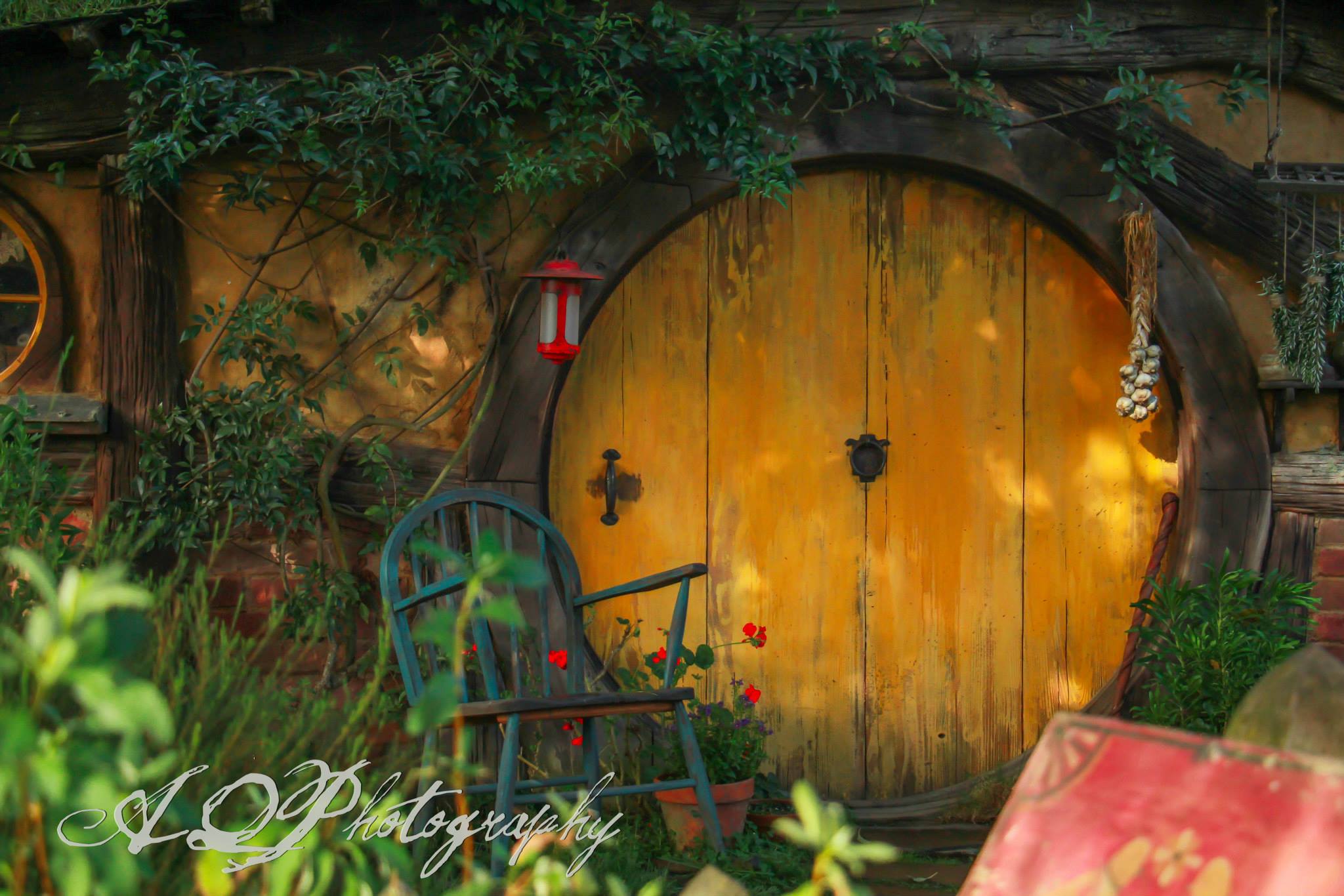 New zealand photo essays 08 picture