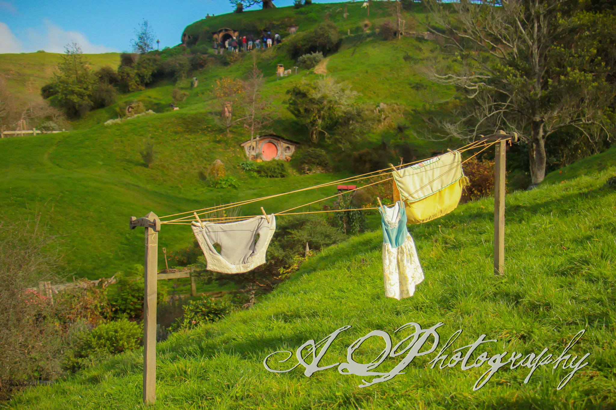 Wellington new zealand photos image