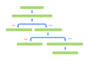 TCF2 Recombinant