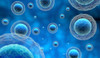 4T1 Cell line | 0566-CSC-C9078W