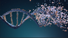 CelloncoTM Human Molm13-Luc Tumor Cell Line-1^10⁶ cells/vial 2 vials | 0708-IOC-02P004