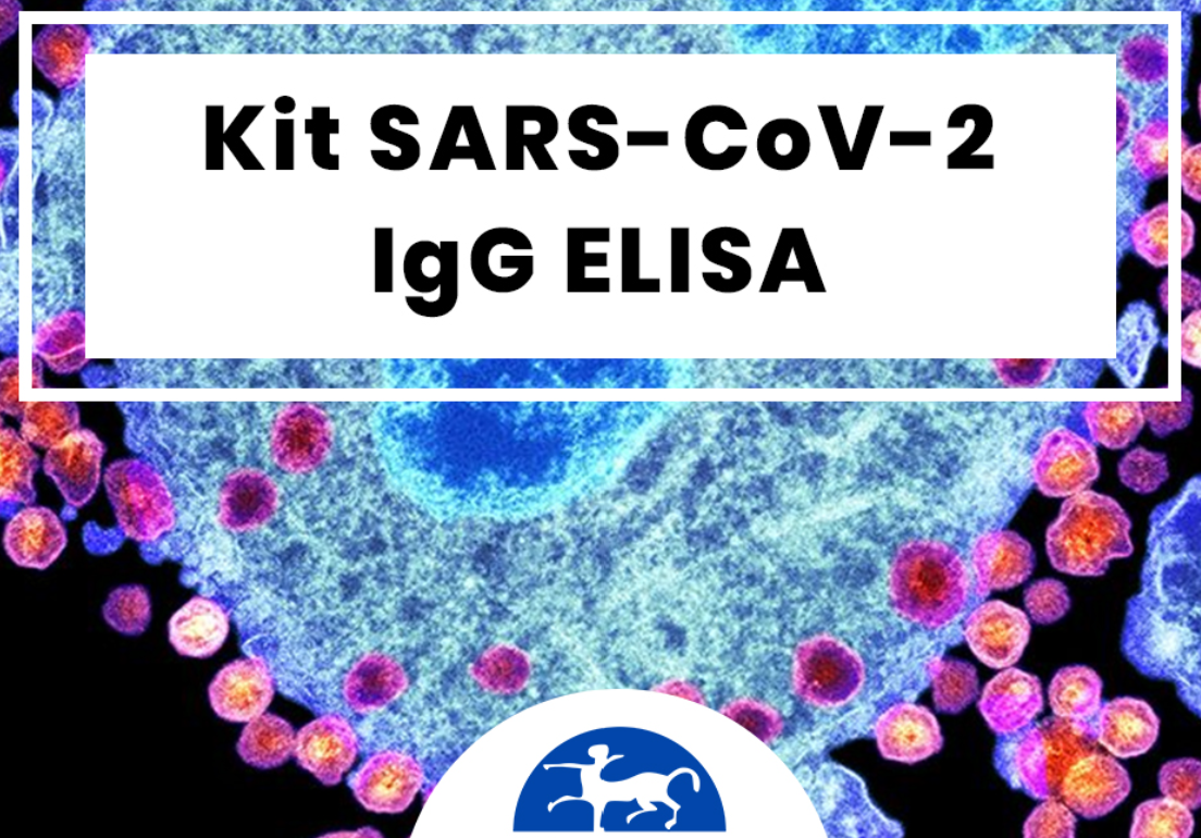 Gentaur GENLisa for SARS Research CE Marked