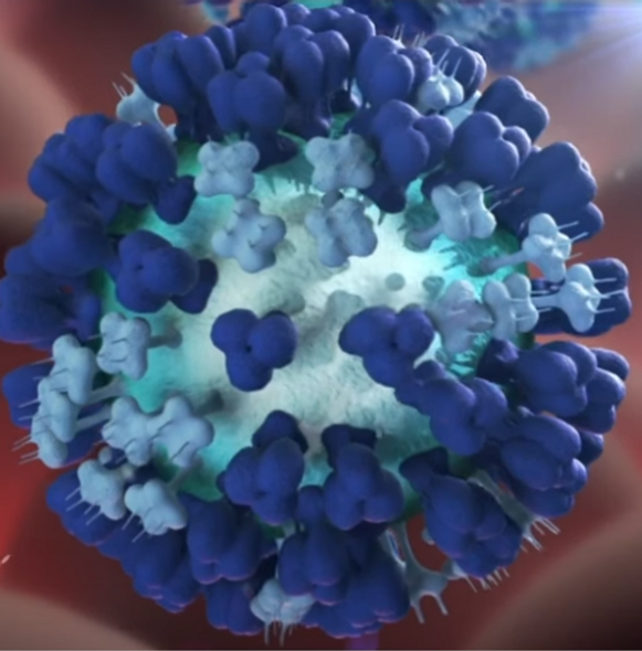 Recombinant Angola marburgvirus Glycoprotein minus the Transmembrane Region (MARV-Angola rGPΔTM) - 100ug