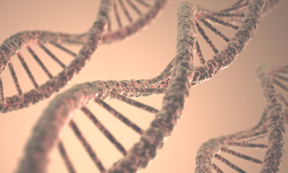 (6-4)DNA photolyase