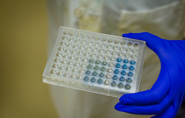 Bovine OCLN (Occludin) ELISA Kit