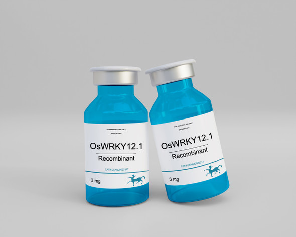 OsWRKY12.1 Recombinant