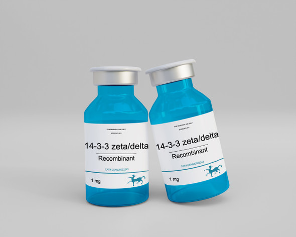 14-3-3 zeta/delta Recombinant