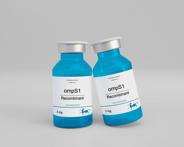 ompS1 Recombinant