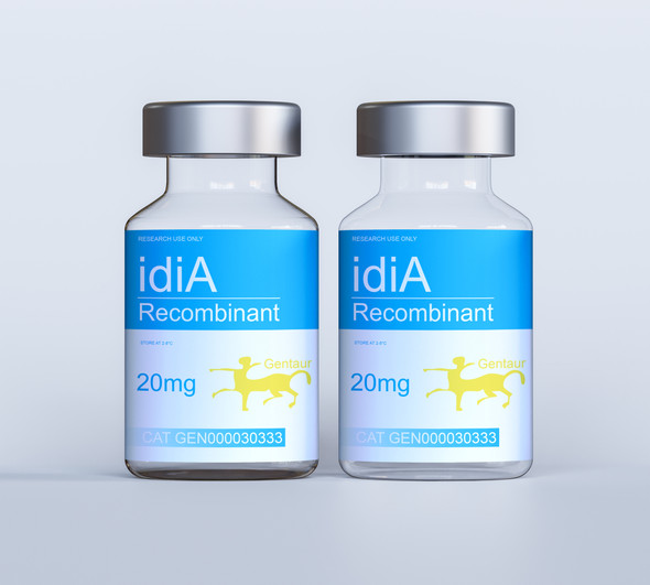 idiA Recombinant