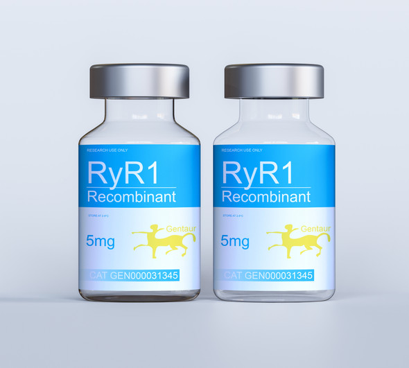 RyR1 Recombinant
