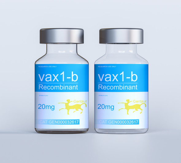 vax1-b Recombinant