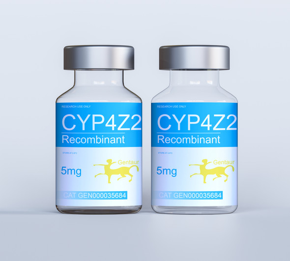 CYP4Z2P Recombinant
