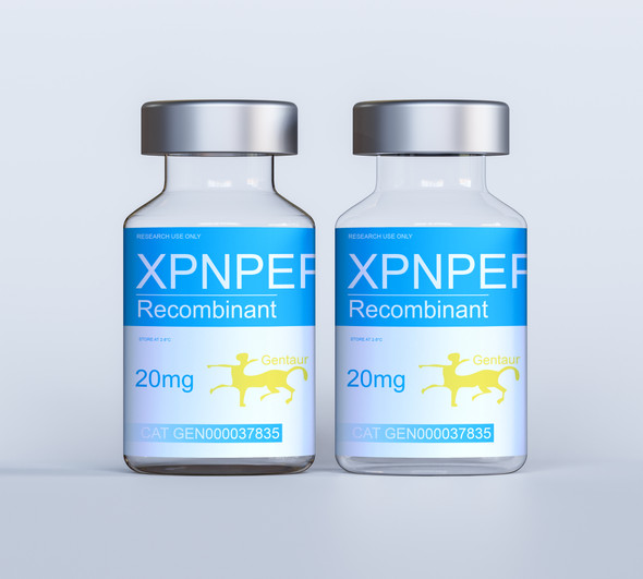 XPNPEP1 Recombinant