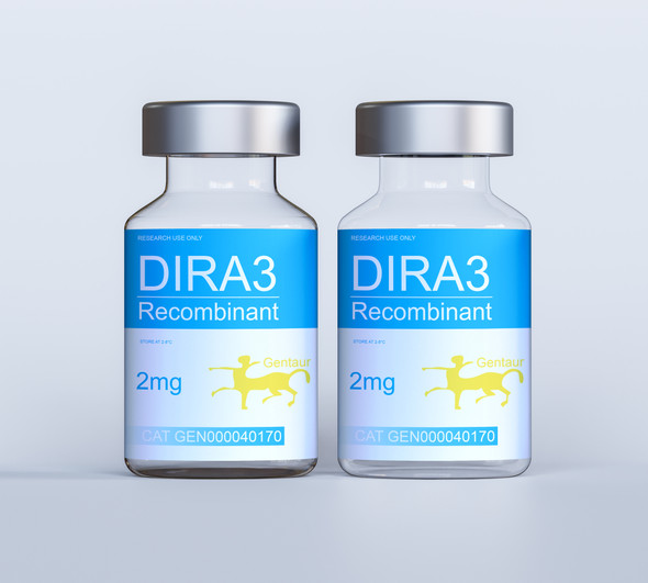 DIRA3 Recombinant