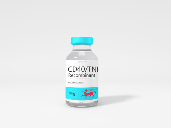 CD40/TNFRSF5/Bp50 Recombinant