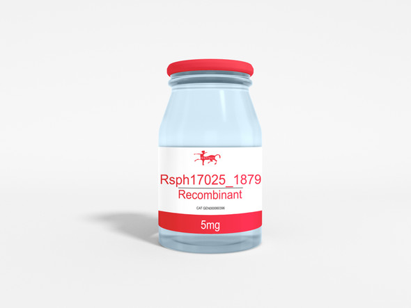 Rsph17025_1879 Recombinant