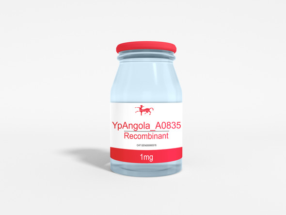 YpAngola_A0835 Recombinant