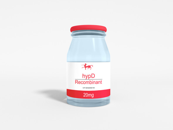 hypD Recombinant