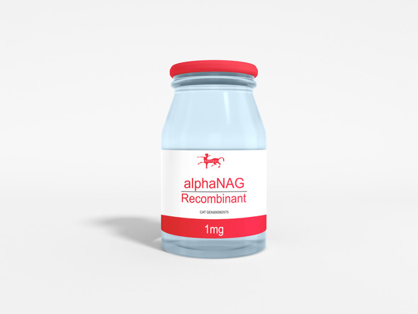 alphaNAG Recombinant