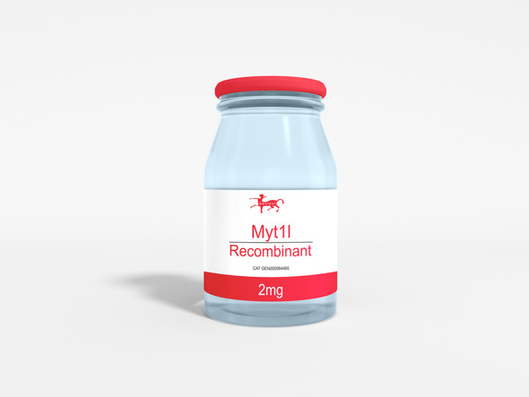 Myt1l Recombinant